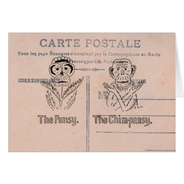 Pansy y chimpancé Humor (Anverso (Horizontal))