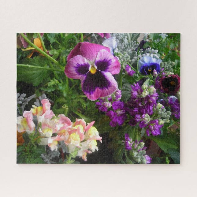 Pansy y su rompecabezas (Horizontal)