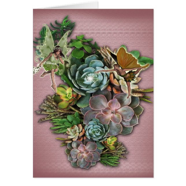 Pantallas correctas (Frente)