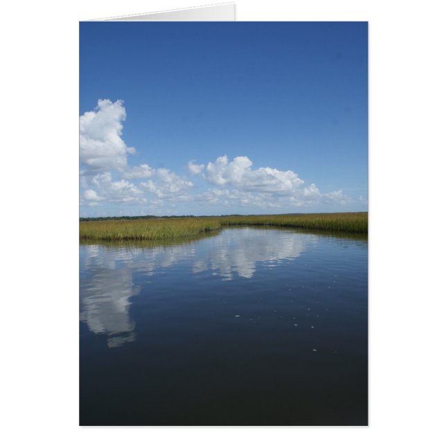 Pantano suave (Frente)