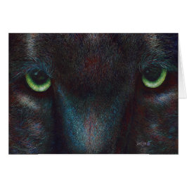 Pantera negra "Hyptnotist "