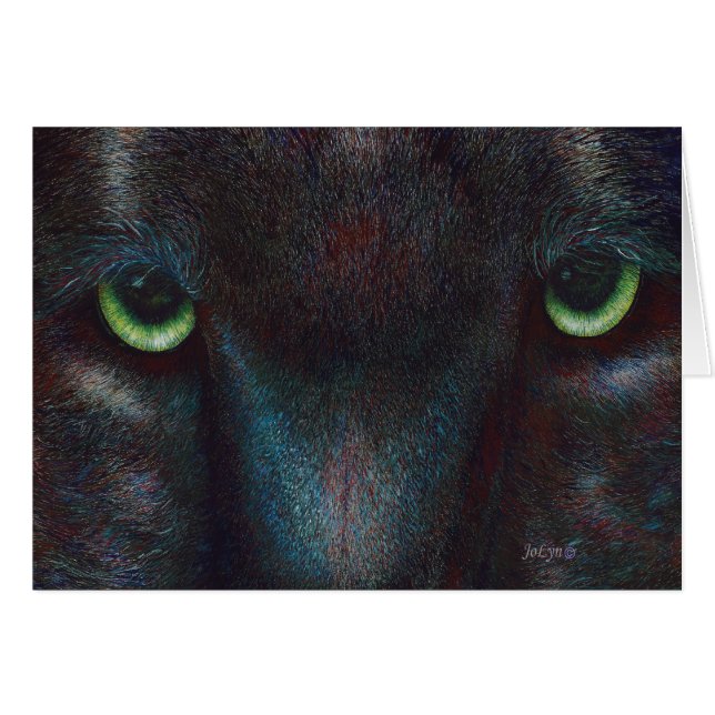 Pantera negra "Hyptnotist " (Anverso (Horizontal))