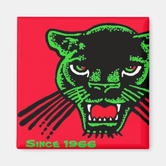 Pantha desde el imán de 1966