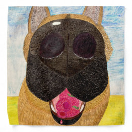 Pañuelo de nariz de perro y frambuesa