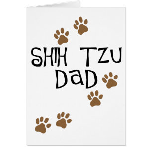 Papá de Shih Tzu