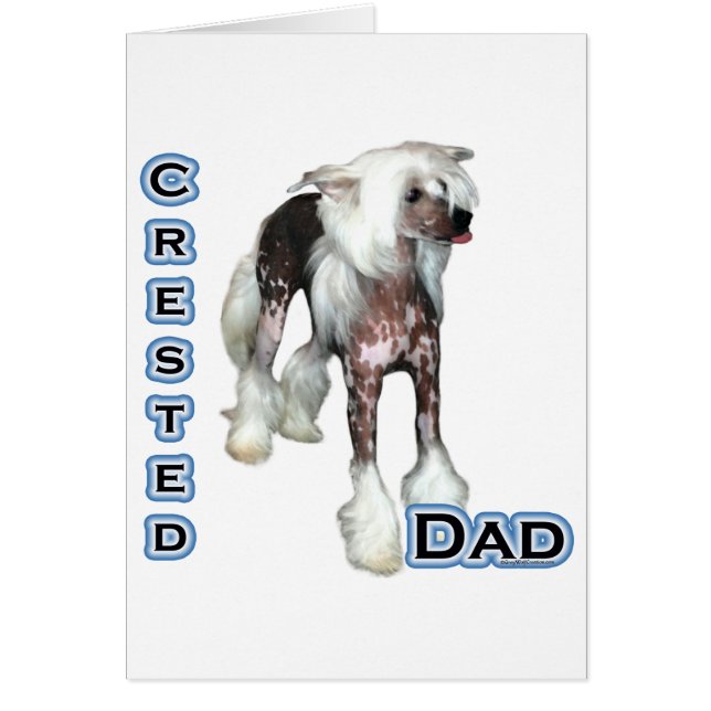 Papá en reposo chino 4 (Frente)