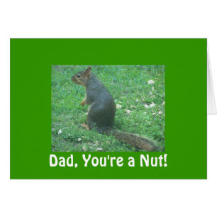 ¡Papá, usted es una nuez!