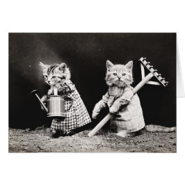 Papas antiguas y tarjetas de notas para gatitos