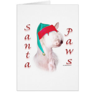 Papas de Santa Paws en reposo chino
