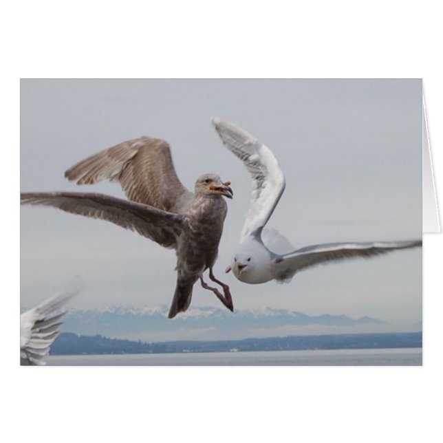 papas fritas libres 2 (Anverso (Horizontal))