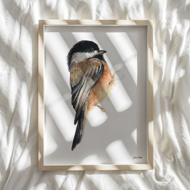 Papel acuático de pollo Imprimir arte (Chickadee Watercolor Art Print from Jenn's Emporium. )