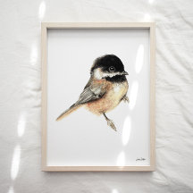 Papel acuático de pollo Imprimir arte