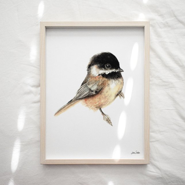 Papel acuático de pollo Imprimir arte (Chickadee Watercolor Art Print
from Jennifer Steffen, Jenn Steffen Art. )