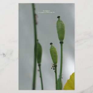 Papel amarillo Sombra 11 Stationery personalizada