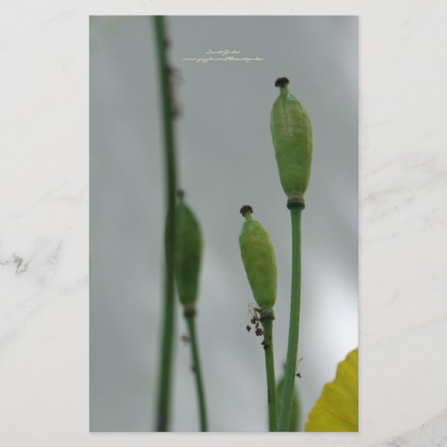 Papel amarillo Sombra 11 Stationery personalizada (Anverso)