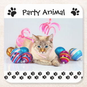 Papel Animal de Fiesta - Posavasos de Bebida Cuadrado