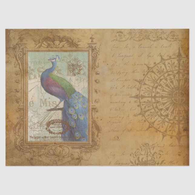 Papel antiguo marrón marrón de pavo real (Anverso)