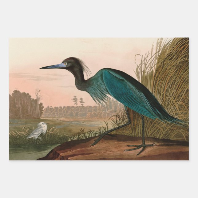 Papel Audubon azul o garza perón en Estados Unidos (Anverso)
