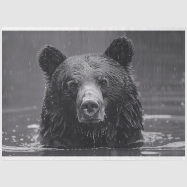 Papel blanco y negro de oso (Anverso)