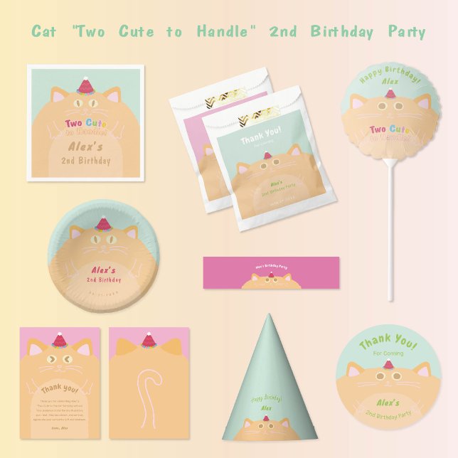 Papel Bolsa de Cumpleaños Verde Menta con Gato y Sombrer (Mint and peach cat party supplies with matching birthday hats, plates, and favor bags.)