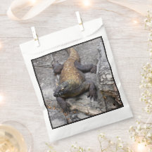 Bolsa de la escena rocosa del dragón de Komodo