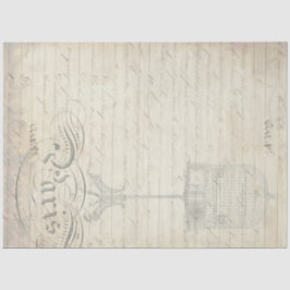 Papel complementario de la deshielo del éfemera de