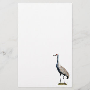 Papel con membrete de la foto de Sandhill