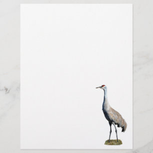 Papel con membrete de la foto de Sandhill