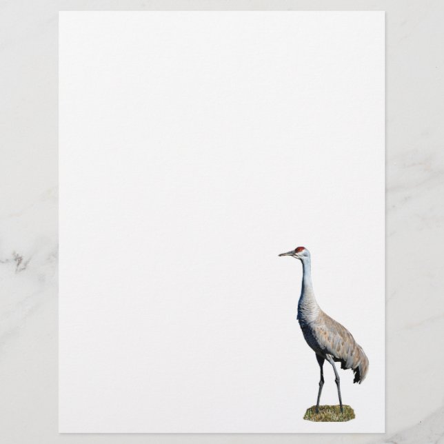 Papel con membrete de la foto de Sandhill (Anverso)