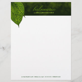 papel con membrete de la hoja 311-Dream