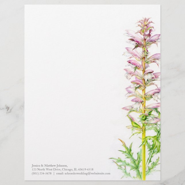 Papel con membrete del arte de la acuarela del (Anverso)