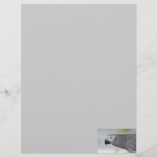 Papel con membrete del negocio del loro del gris (Anverso)