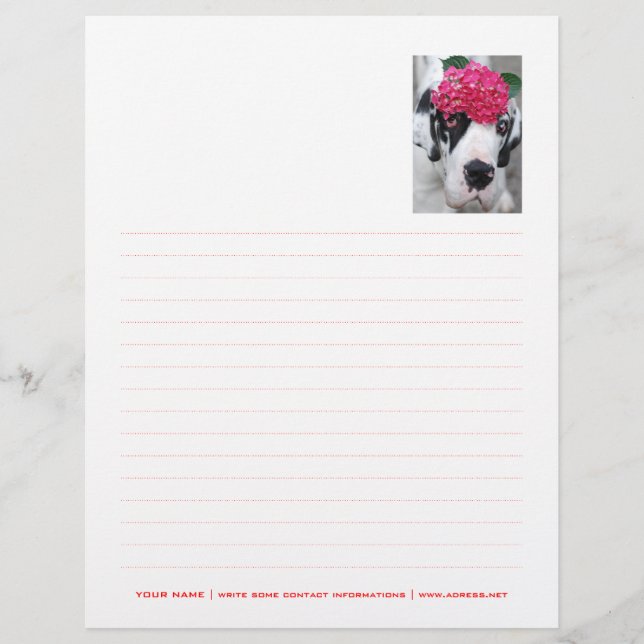 Papel con membrete personalizado punteado (Anverso)