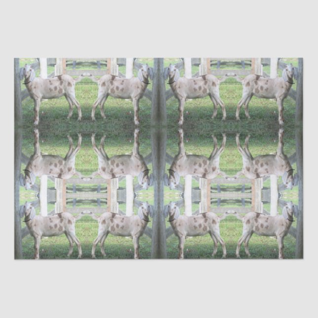 Papel Cute Spots Floppy Earat Tejido (Anverso)