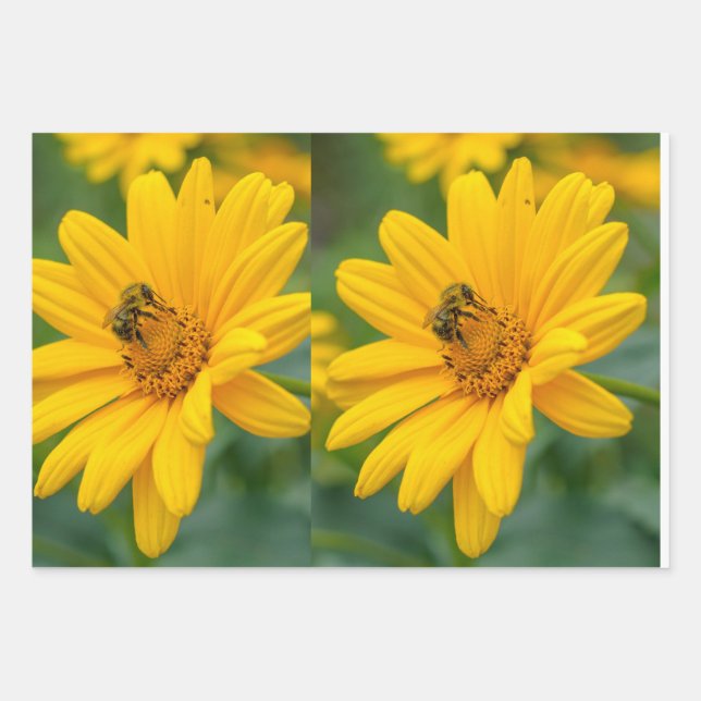 Papel de ajuste (Anverso)