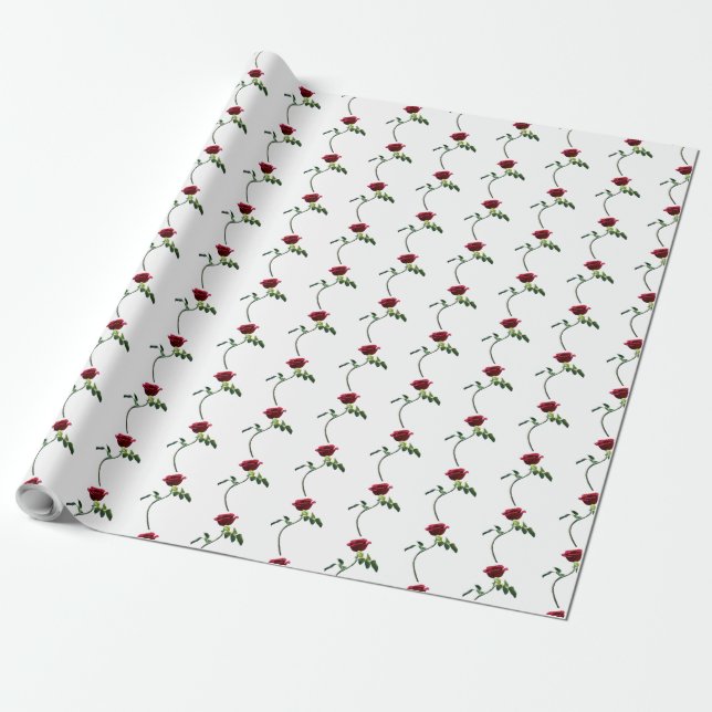 Papel de ajuste (Desenrollado)