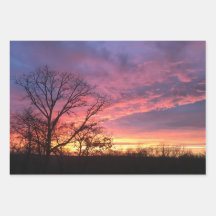 Papel de ajuste al sol conjunto de hojas planas de