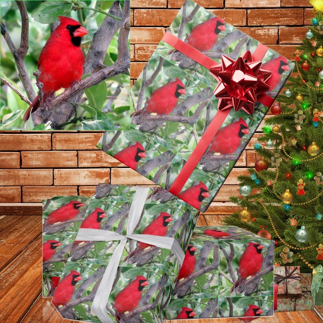 Papel de ajuste cardinal (Subido por el creador)