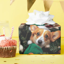 Papel de ajuste Corgi