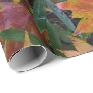 Papel de ajuste de ardilla