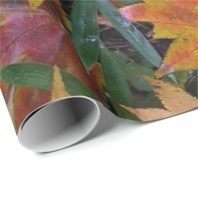 Papel de ajuste de ardilla (Esquina del rollo)