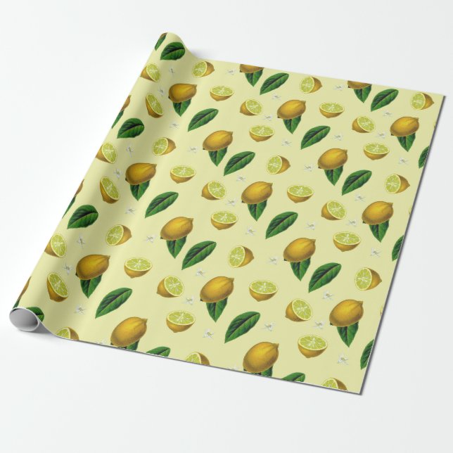 Papel de ajuste de cítricos (Desenrollado)