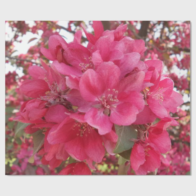 Papel de ajuste de flor de primavera (Superficie plana)