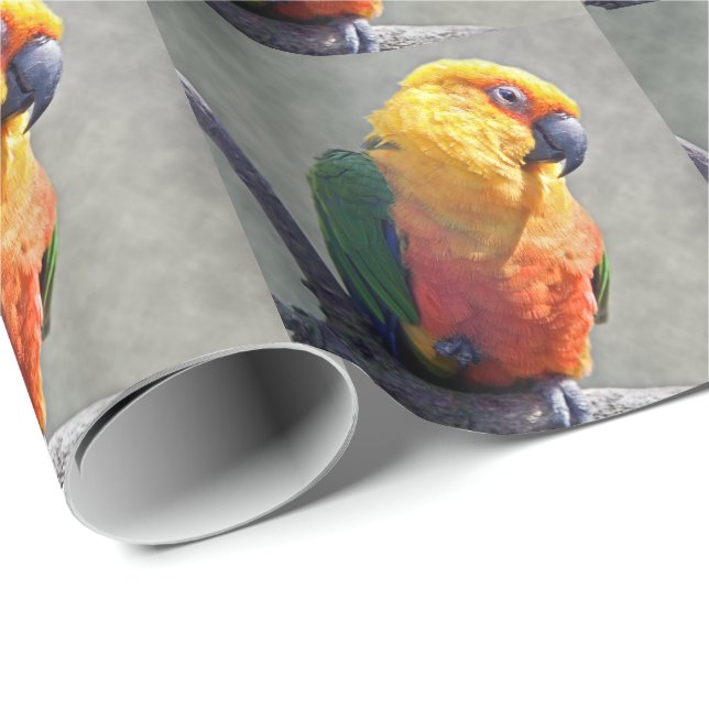 Papel de ajuste de Jenday Conure (Esquina del rollo)