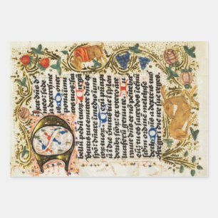 Papel de ajuste de manuscritos iluminado