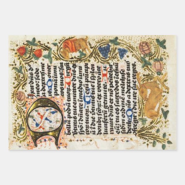 Papel de ajuste de manuscritos iluminado (Anverso)