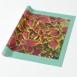 Papel de ajuste de parche de flor de Coleus