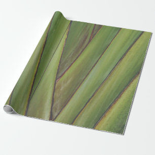 Papel de ajuste de regalo de árbol de palmas