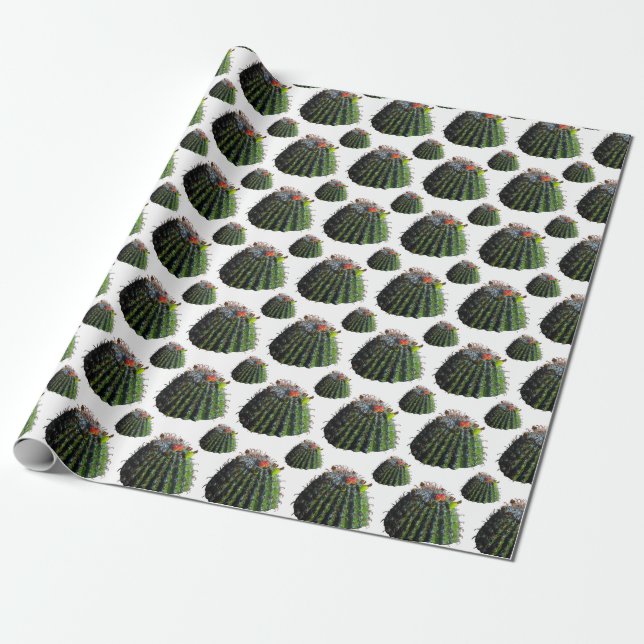 Papel de ajuste de regalo de Cactus (Desenrollado)