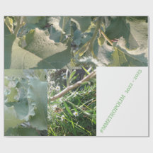 Papel de ajuste/MMETROPOLIMdesign